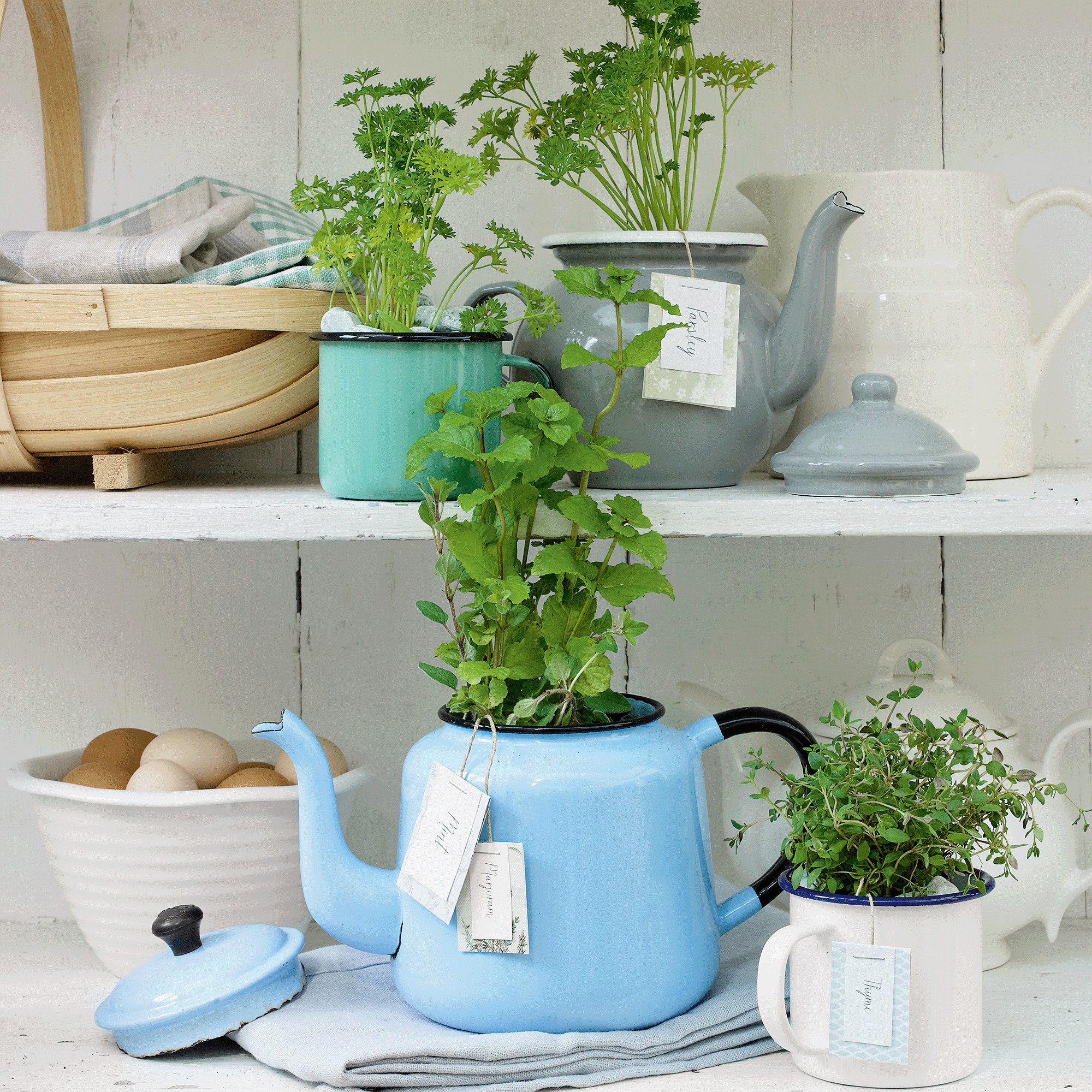 Herbs in teapots and teacups