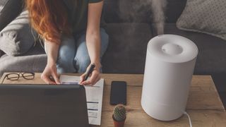 woman working beside the best humidifier