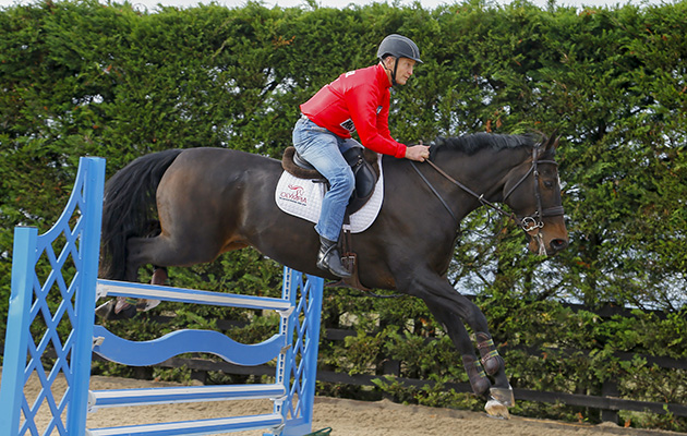 From racing to showjumping