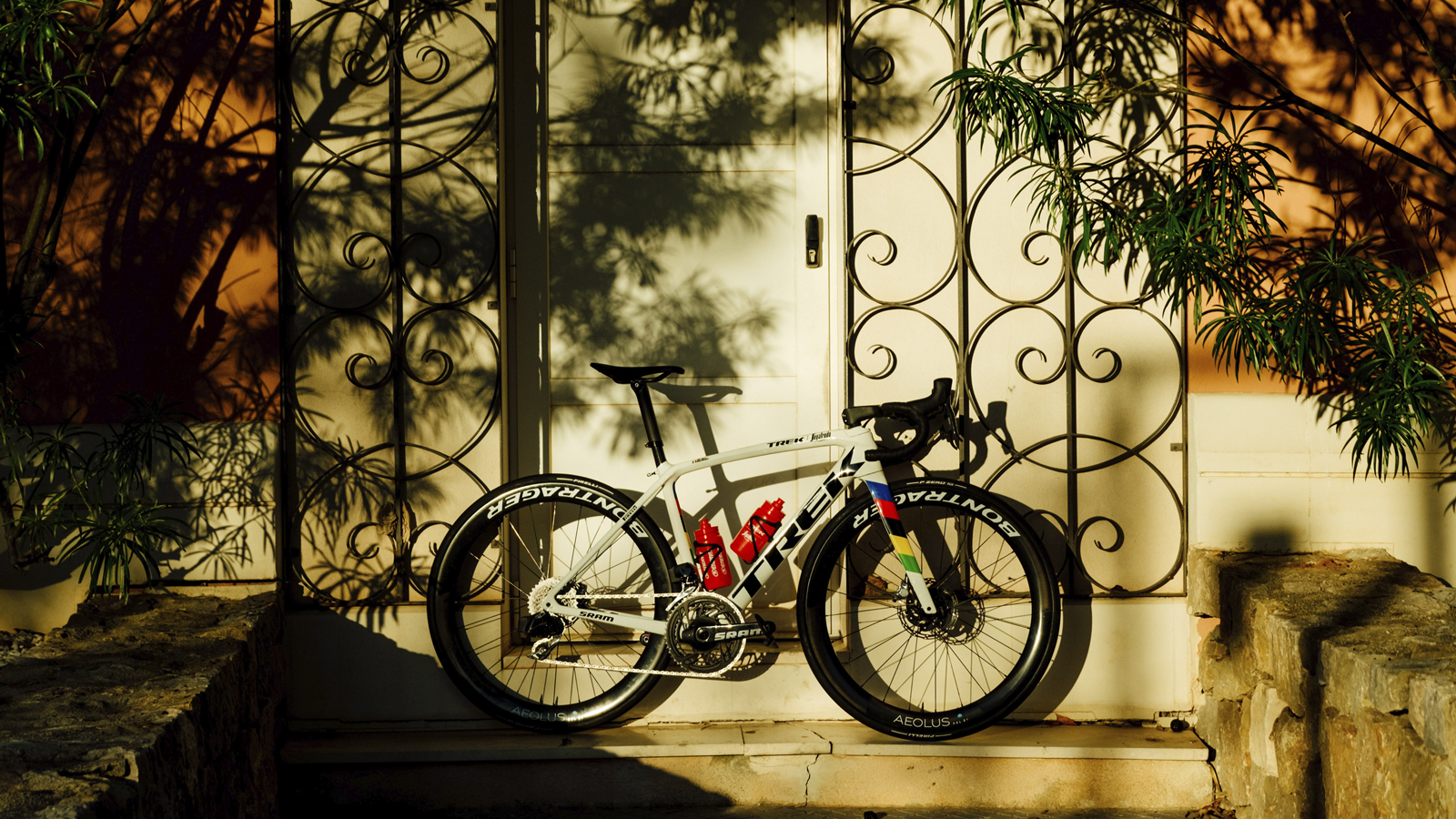 Trek advises Emonda and SpeedConcept SLR owners to stop use