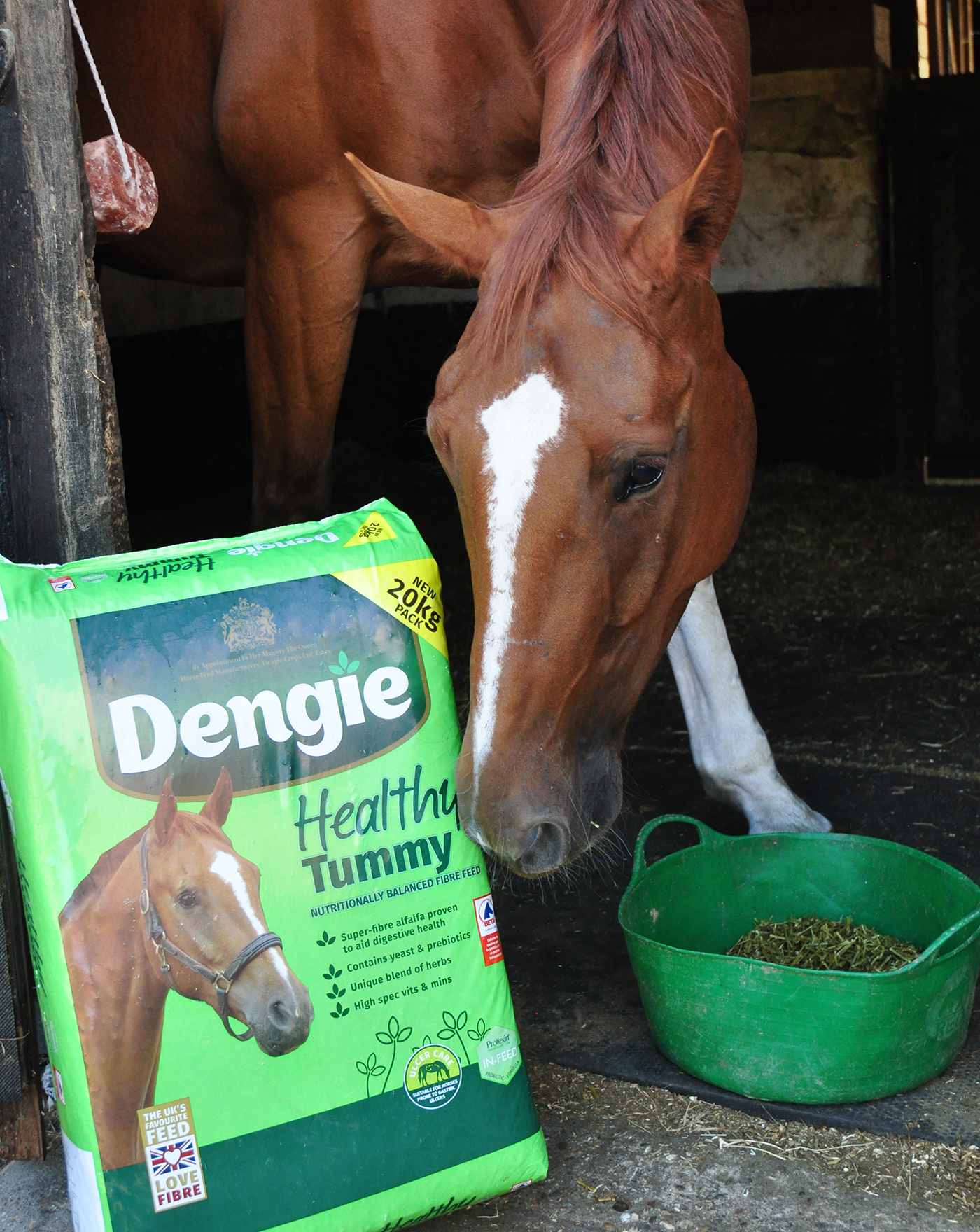 Dengie Happy Tummy