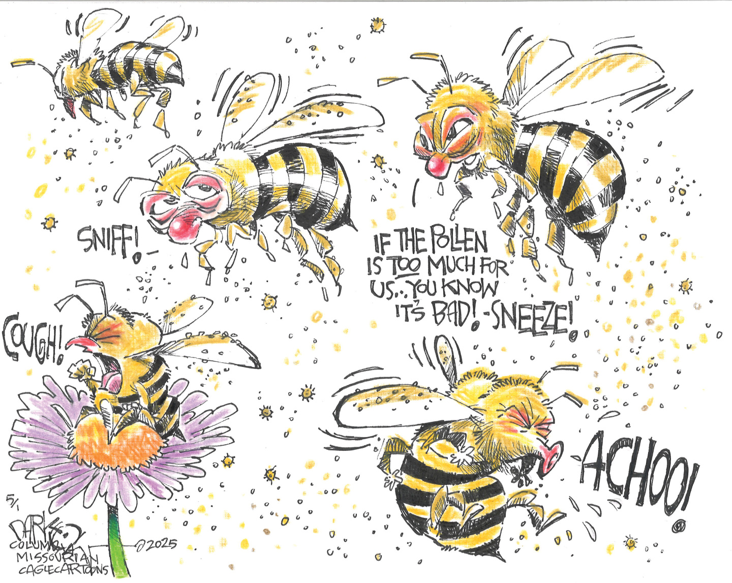 This cartoon depicts several bees in various states of distress, surrounded by large clouds of floating pollen. One bee sniffs, another coughs while clinging to a flower, one sneezes violently, and another exclaims, "IF THE POLLEN IS TOO MUCH FOR US... YOU KNOW IT'S BAD! - SNEEZE!"