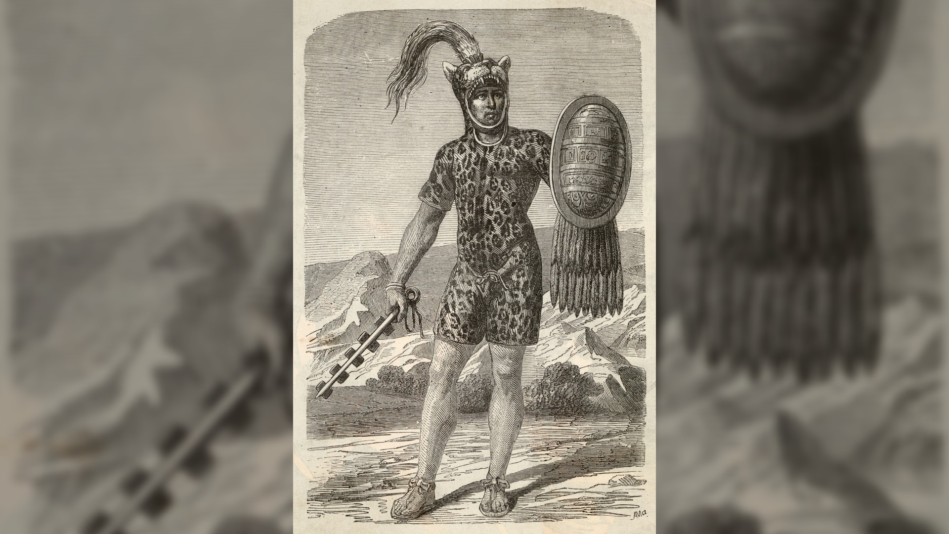This is a drawing of Emperor Itzcoatl. He is wearing a short unitard made out of leopard skin, with his helmet made out of a leopard head with plumage coming out the top. He is holding a medium-sized oval shield with feathers hanging from the bottom in his left hand, and in his right hand he is holding a mace.
