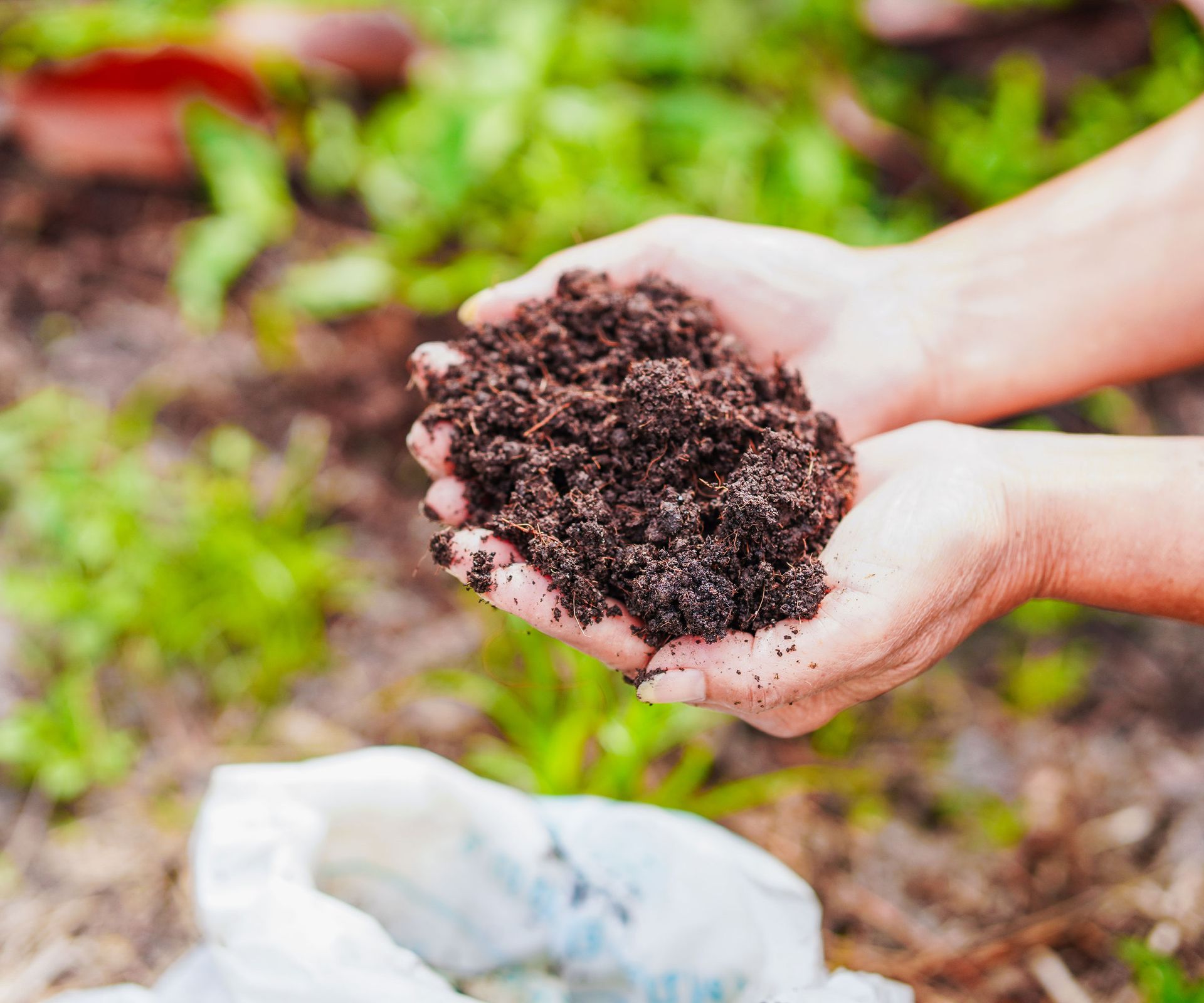 hands holding prepared compost in backyard