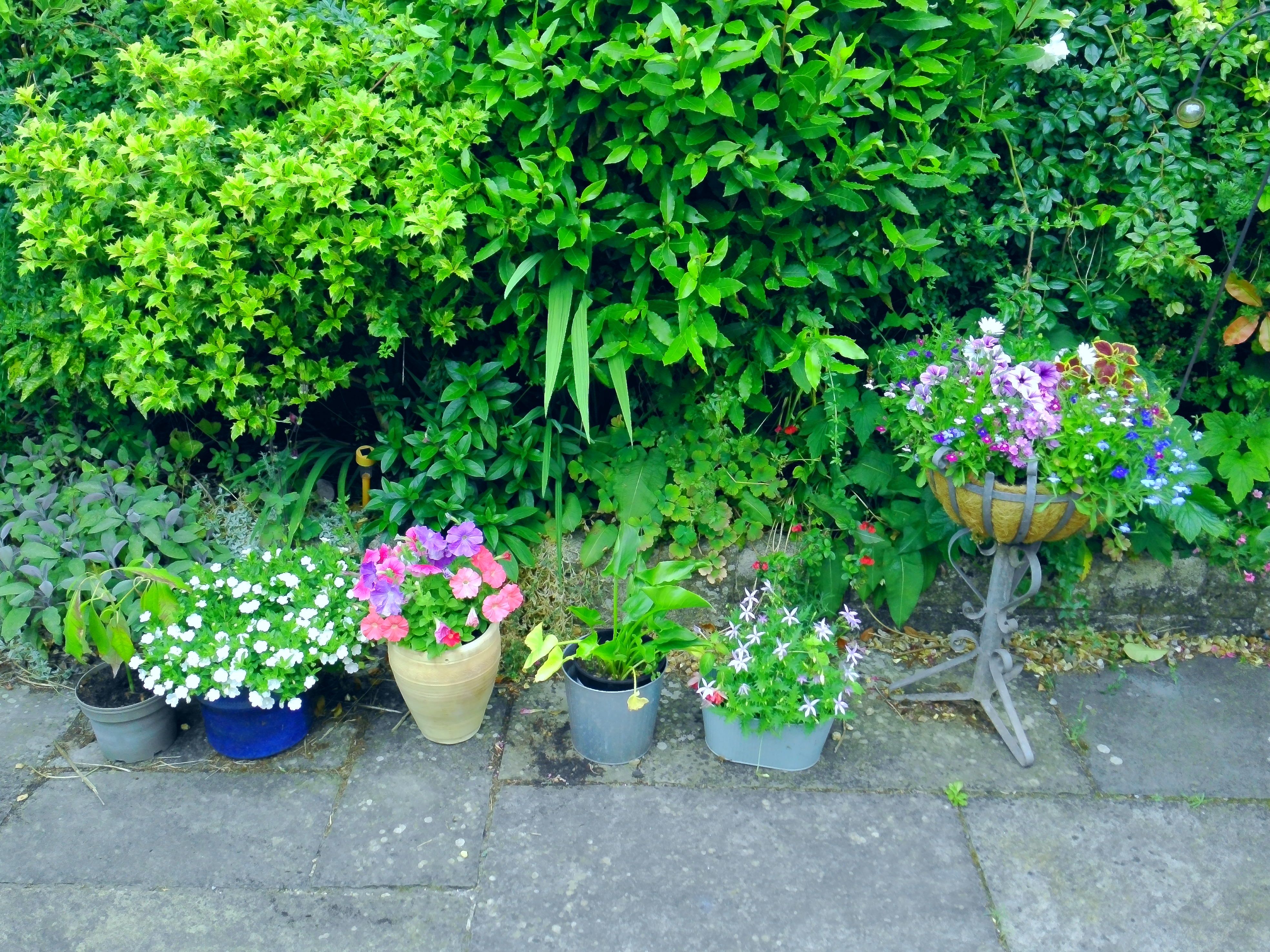 Yashica FX-D 300 example shot - film simulations