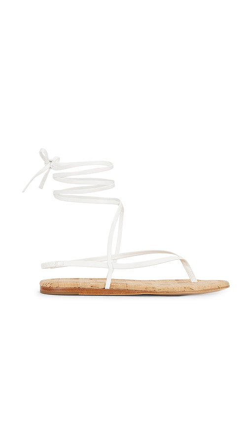 Aditi Sandal