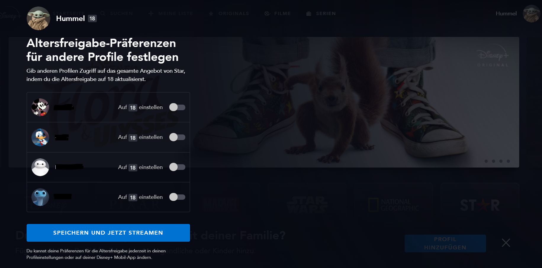 Die Profilfreigabe für Disney Plus Star