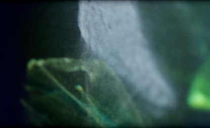 Suki Chan's video installation 'Lucida' arrives at Tintype | Wallpaper*