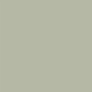 Sage green paint swatch