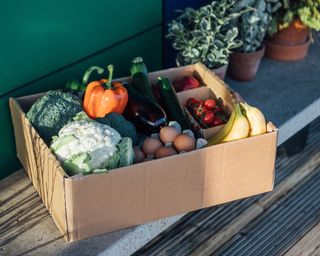box of fruit and veg sat on wooden decking
