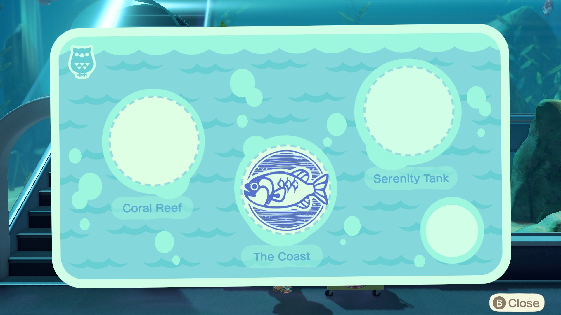 Animal Crossing New Horizons Museum Day