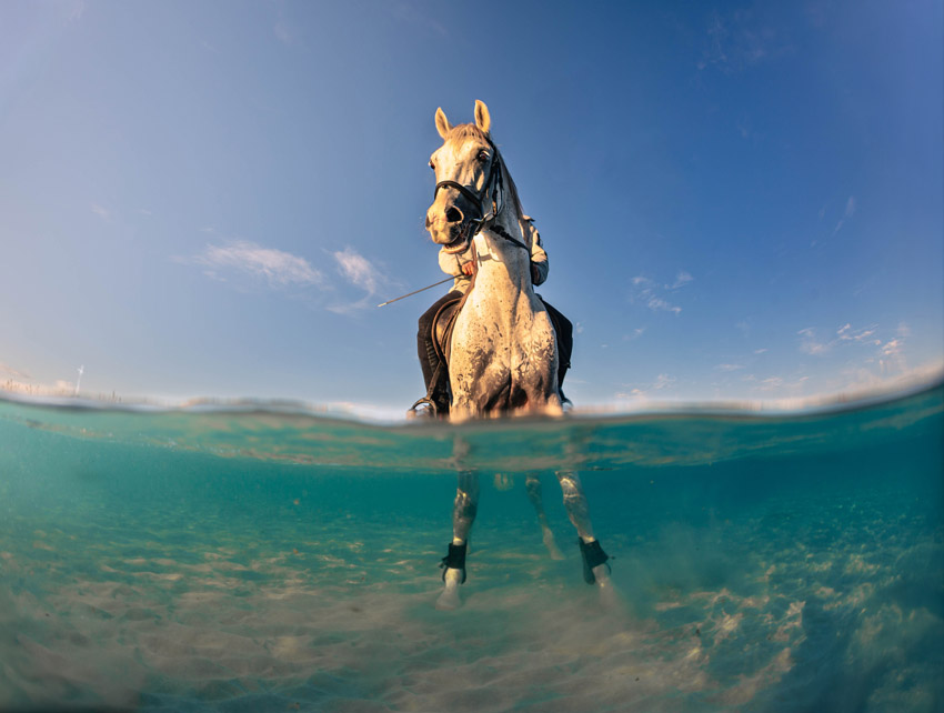 Photograph capturing a moment of symmetry as a horse and rider enter the sea, showing above and below the waterline in a single frame, taken by Doga Ergun from Turkey.