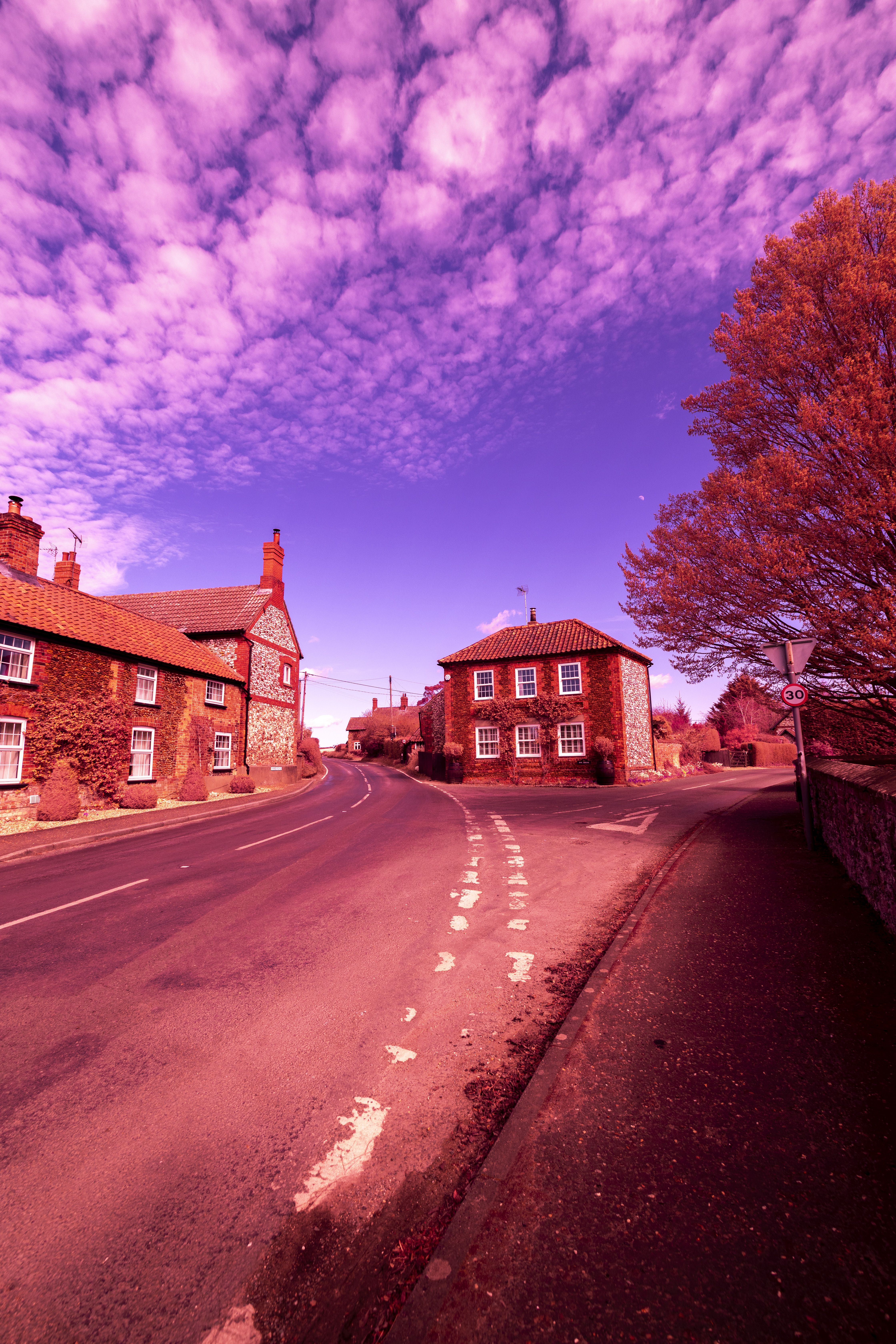 Hoya R72 Infrared Test Shot