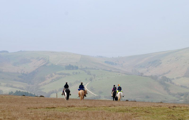 brandy house farm