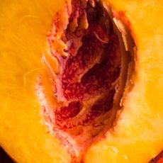Why does sperm burn inside of me: A close up shot of a peach 