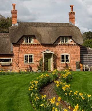 hadleigh thatched cottage daffodils