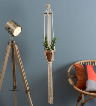 room with macrame plant hanger on wall and tripod stand