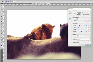 horses in Photoshop with Refine Edge tool