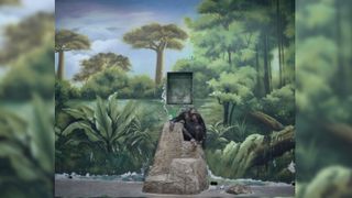 The Anthropocene Illusion - The painted backdrop of this chimpanzee enclosure at Shanghai Wild Animal Park in China is impressive in its artistry, but serves to provide a comforting illusion only to human observers. In their natural habitat in the forests of Central Africa, chimpanzees spend most of their days in the treetops. Being one of the most socially complex species among all non-human primates, chimpanzees in the wild live in societies ranging in size between 20 and 150 individuals.