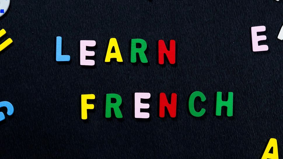 Best Learn French Online Apps And Websites 2022 | Top Ten Reviews