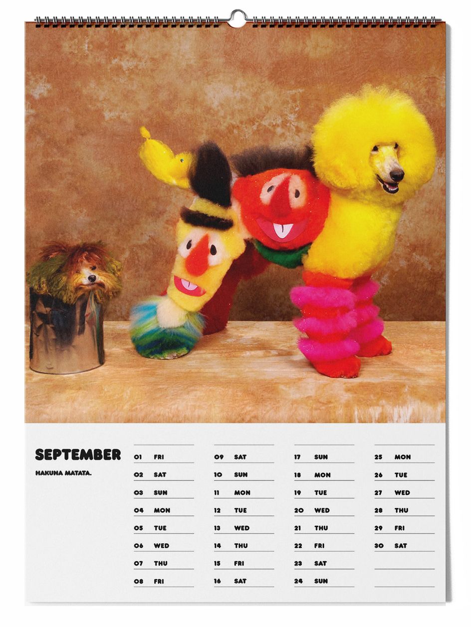 Daniel Gebhart de Koekkoek’s 2023 calendar of dog portraits Wallpaper