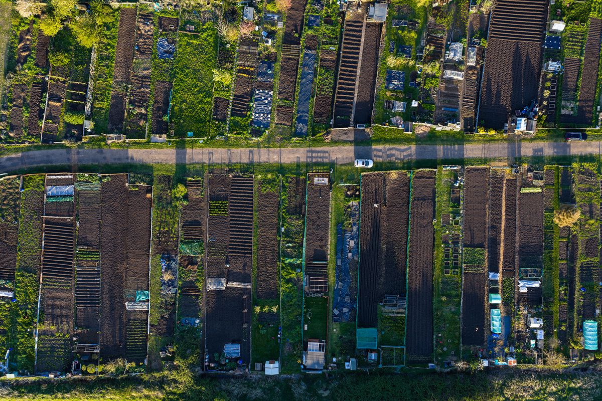 Photo of allotments taken with the DJI Mavic 4 Pro