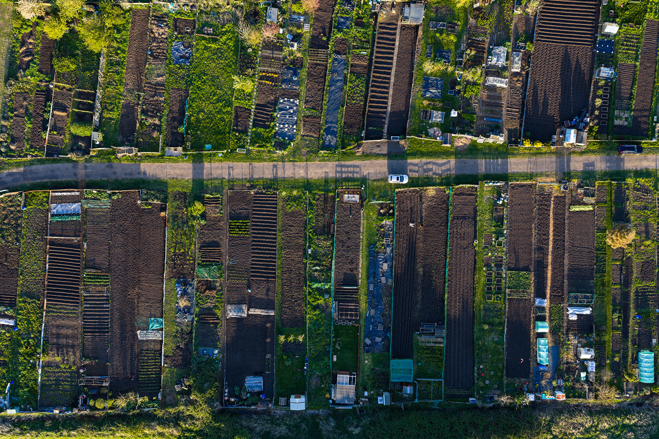 Photo of allotments taken with the DJI Mavic 4 Pro