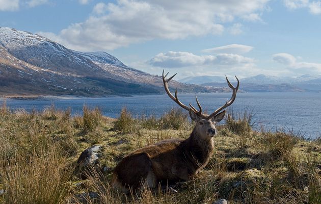 scottish land reform bill