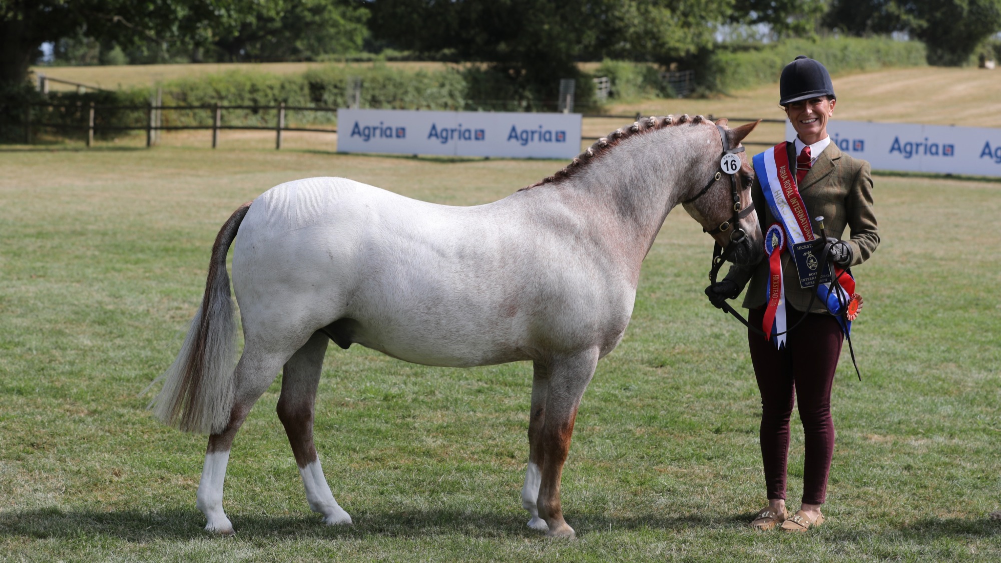 Strawberry roan pony Cushag Ffinlo stands for a photo with owner Danni Thexton who is wearing a championship sash and rosette after the pair are champion senior at the 2026 RIHS