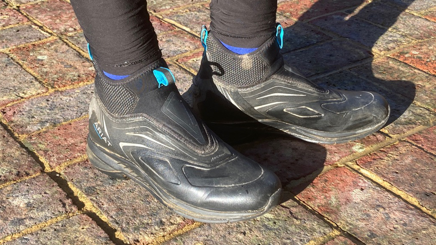 Ariat Ascent paddock boots