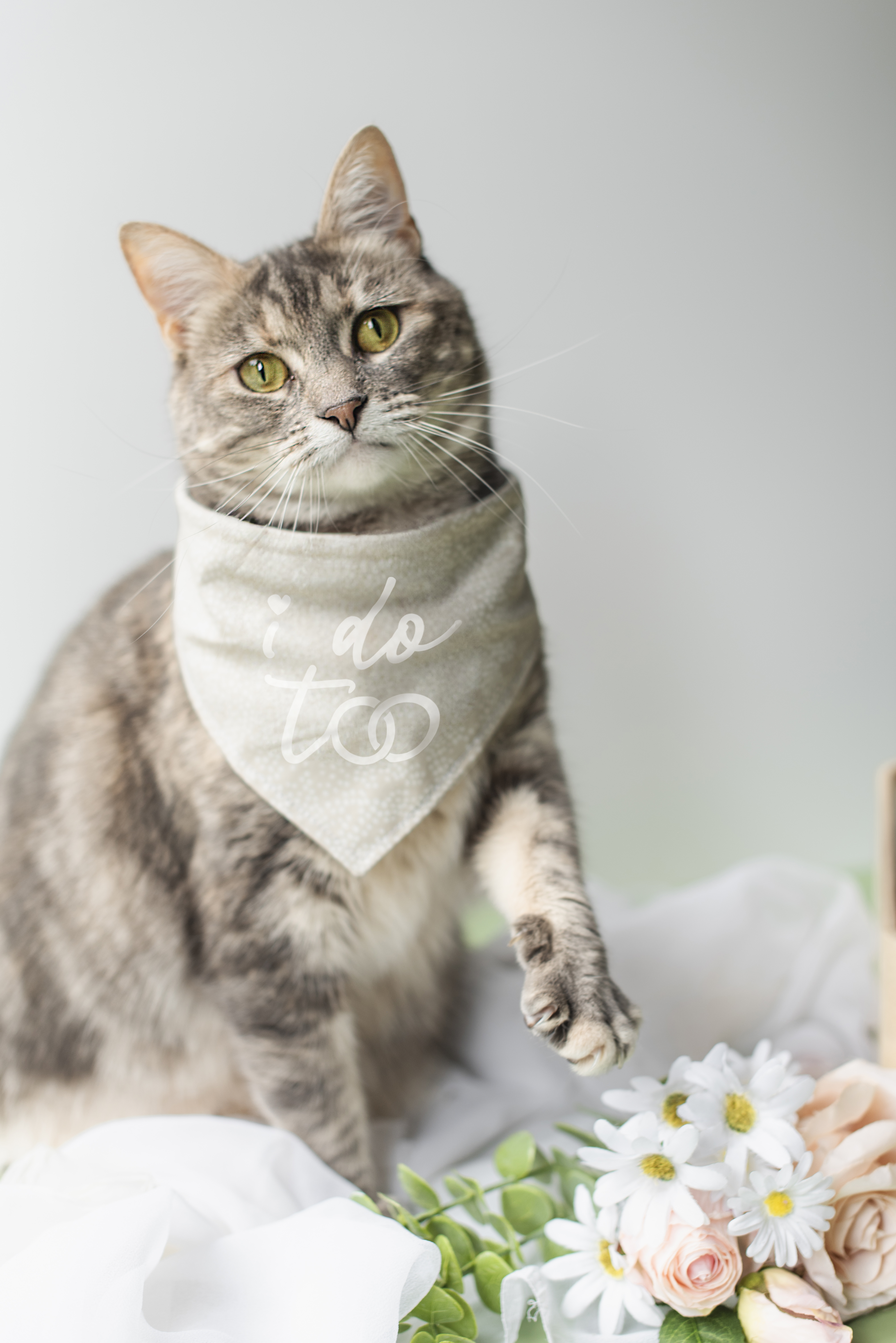 Cricut Weddings book (do not reuse)
