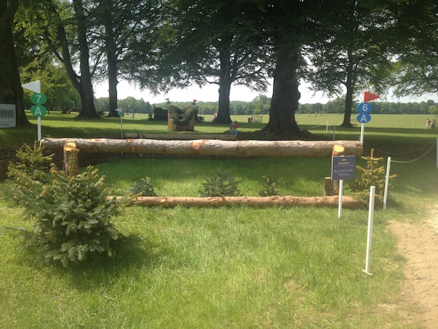 Bramham2015CCI6a