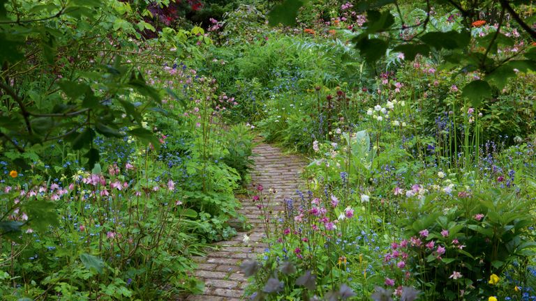 How To Design A Garden Path Ideas And Advice Real Homes