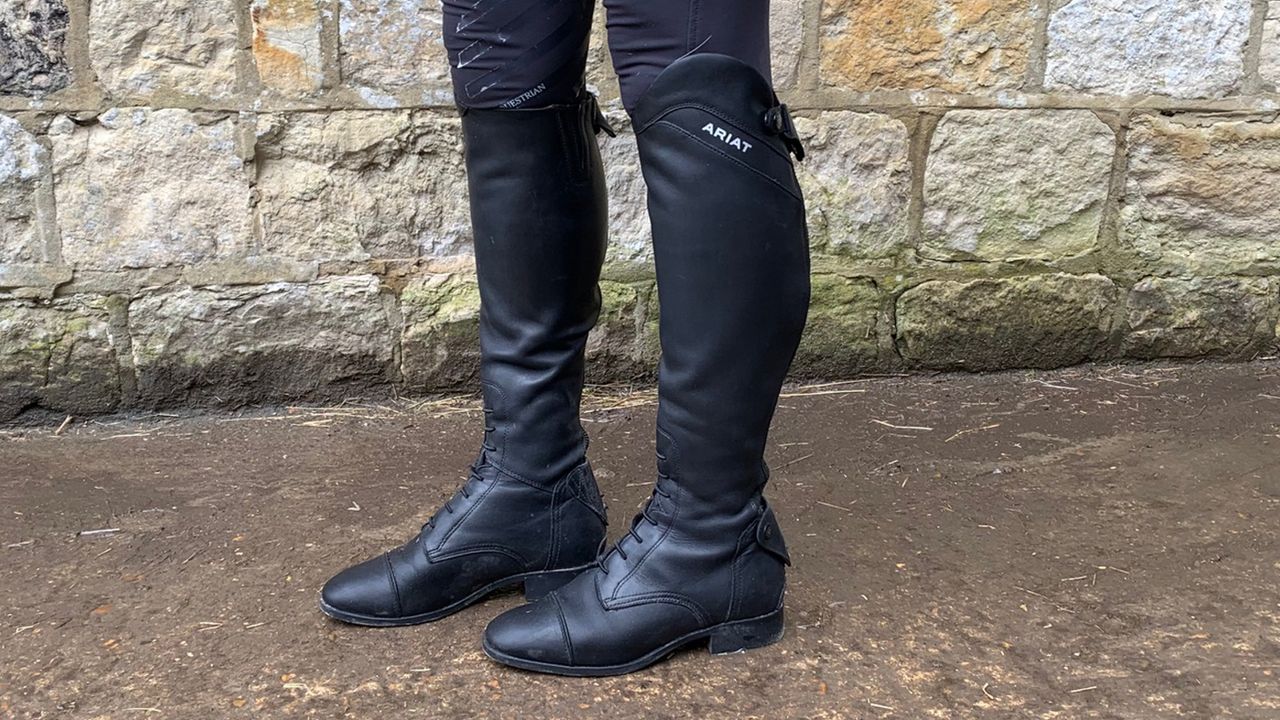 Ariat Palisade long leather boots side