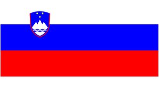 Slovenia flag