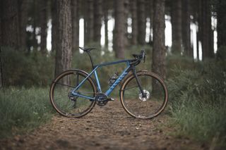 Canyon hot sale grail 2021