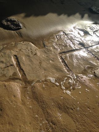 A petroglyph on the Hawaiian shoreline.