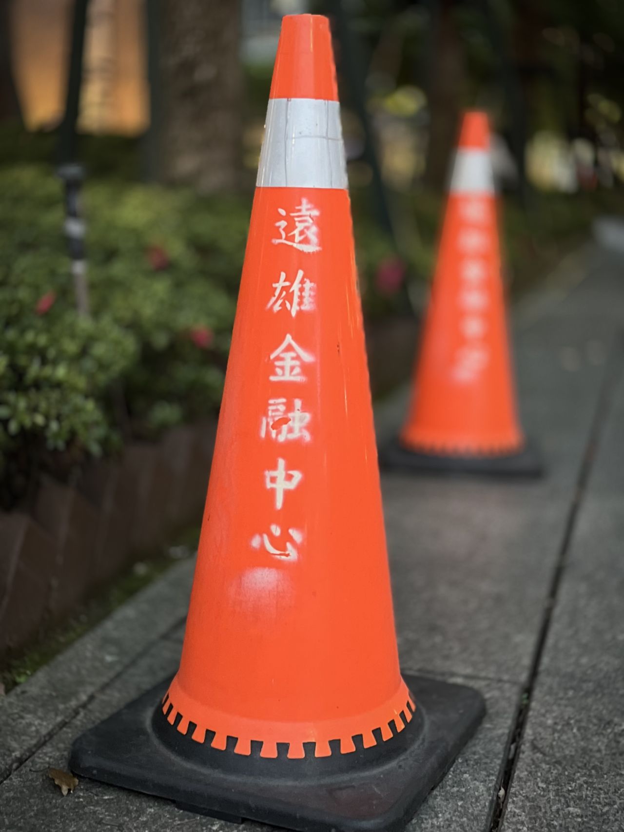 Images shot on the Leica LUX app using an iPhone 13