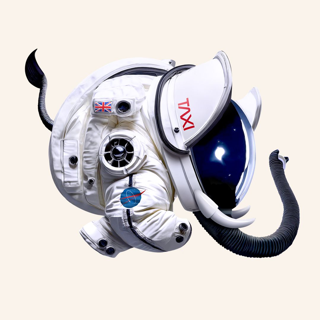 elephant balloon as a spaceman