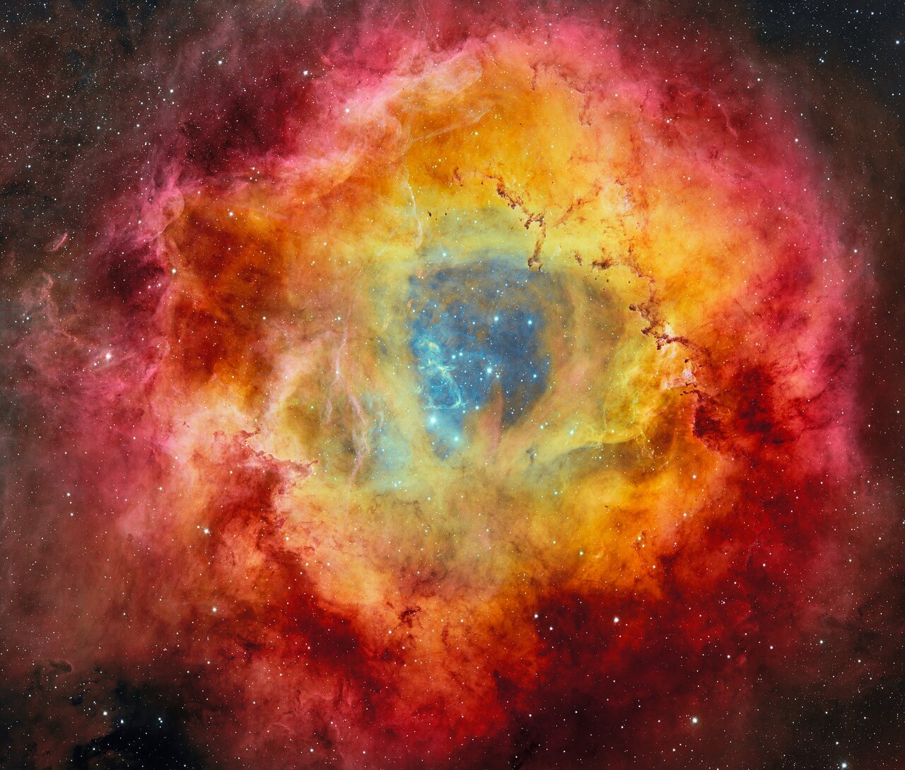 A celebrity-studded Rosette nebula brings beautiful colour to the cosmos