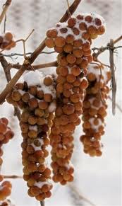 icewine