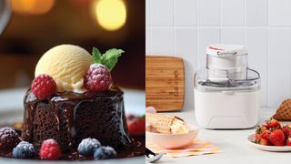 Cuisinart Solo Scoops Ice Cream Maker