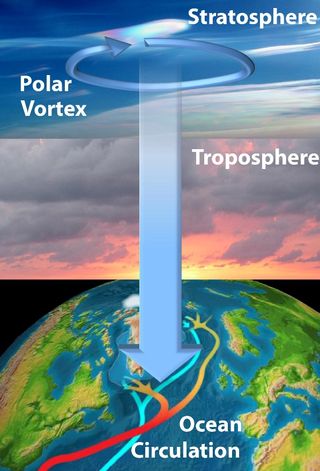 The simplified drawing shows how changes in polar vortex winds high in the stratosphere can influence the North Atlantic to cause changes in the global "conveyor belt" of ocean circulation.