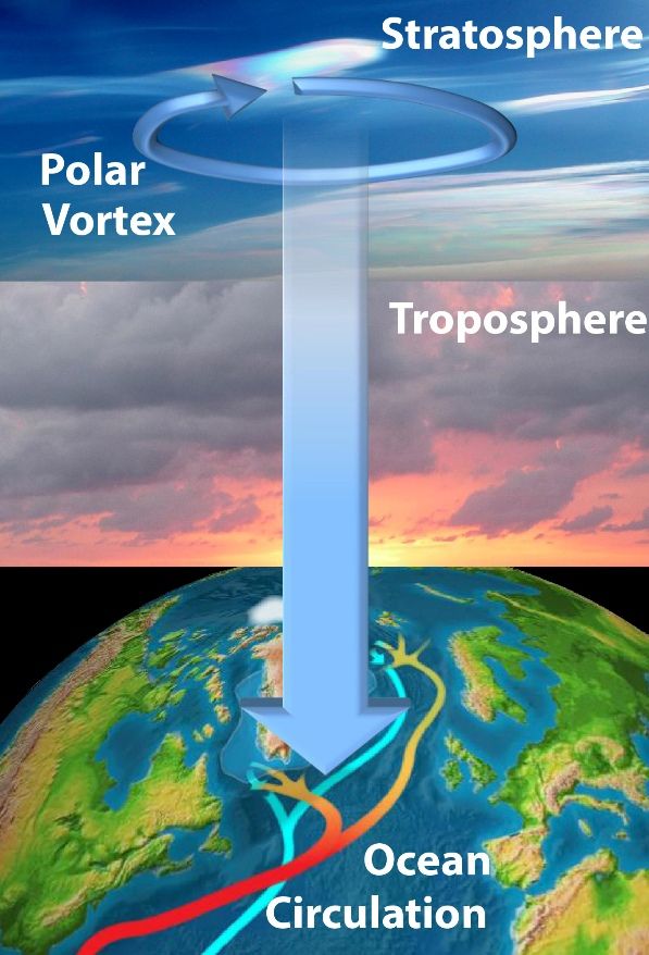 The simplified drawing shows how changes in polar vortex winds high in the stratosphere can influence the North Atlantic to cause changes in the global &quot;conveyor belt&quot; of ocean circulation.