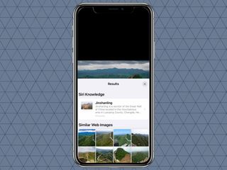 How to use visual look up in iOS 15 safari