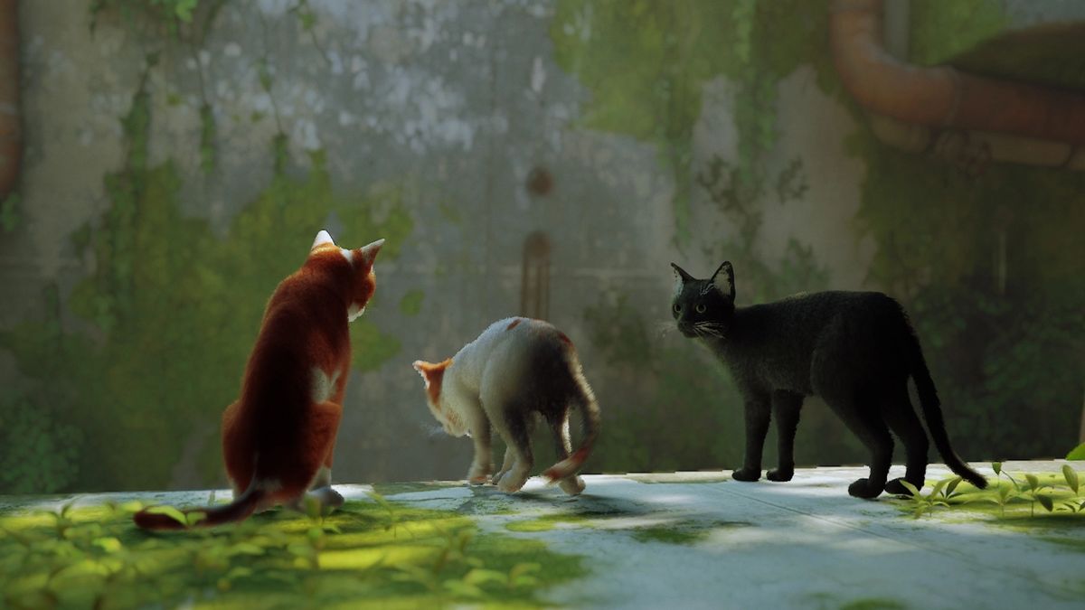 Stray' modders are adding their own cats into the game