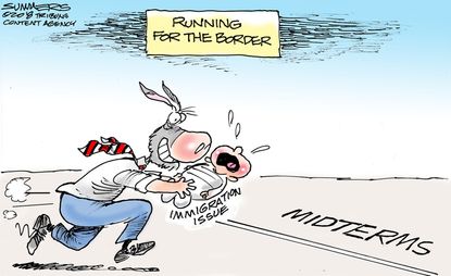 Political cartoon U.S. immigration midterms family separation Democrats politics