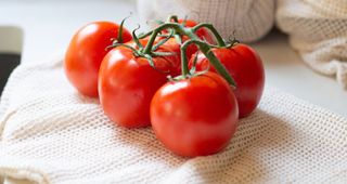 Bunch of tomatoes