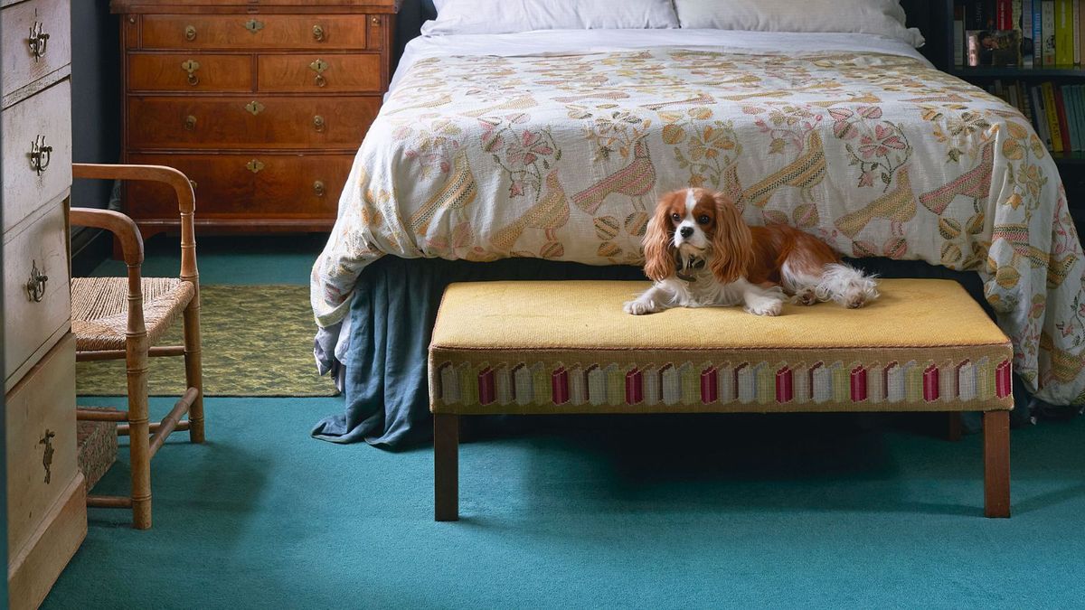 5 vital cleaning tips when you have a pet dander allergy