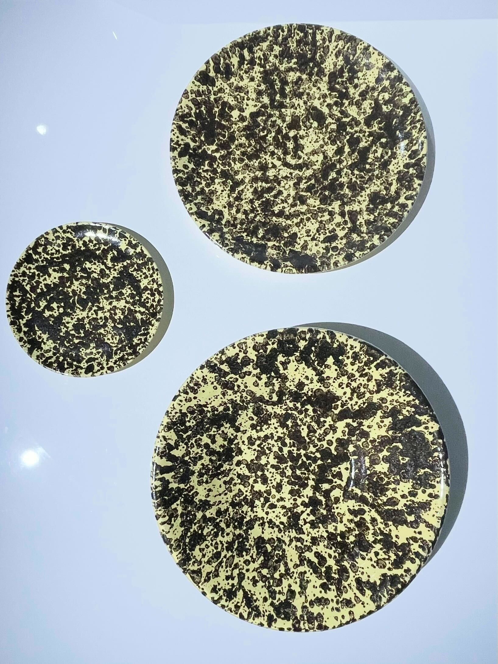 Zara 50th birthday collection